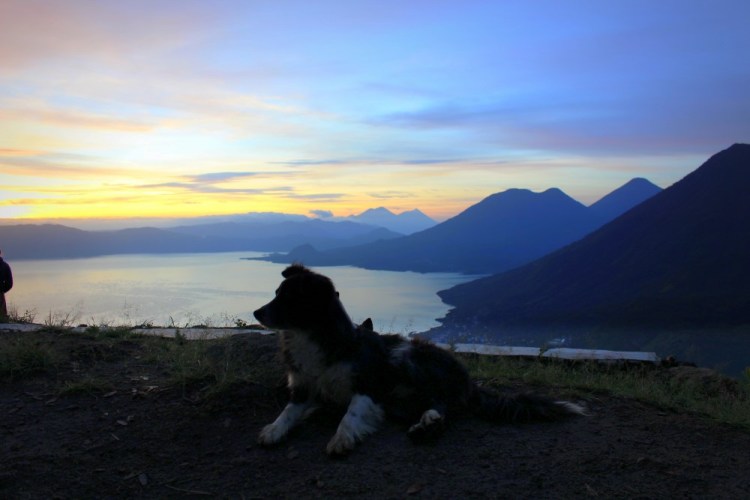 1028 atitlan from indian nose with pup
