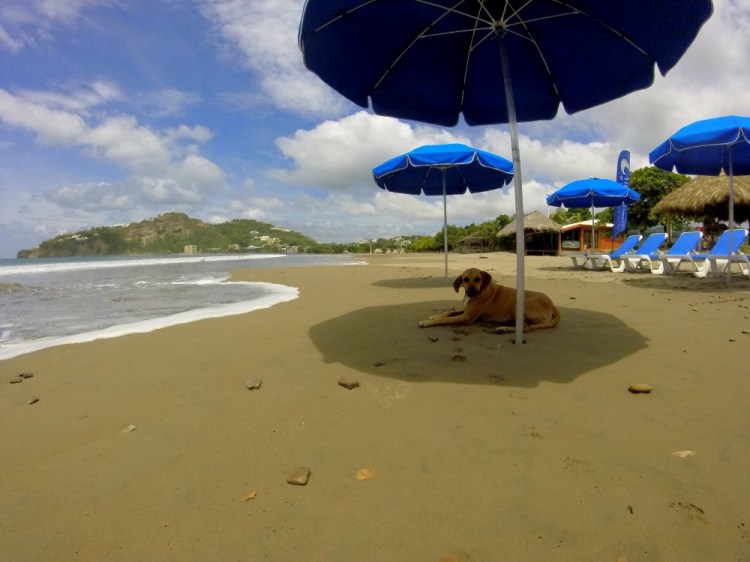 DCIM100GOPRO