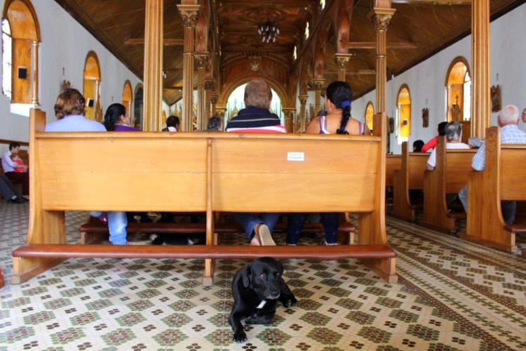 1466 guatape colombia