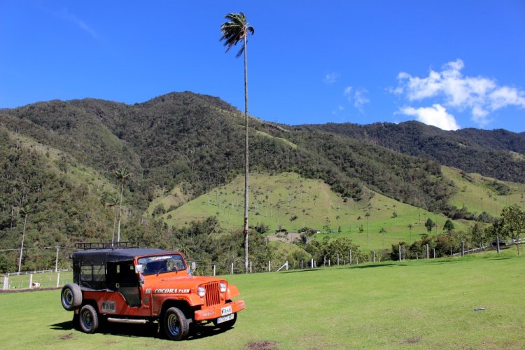 1478 Salento Colombia