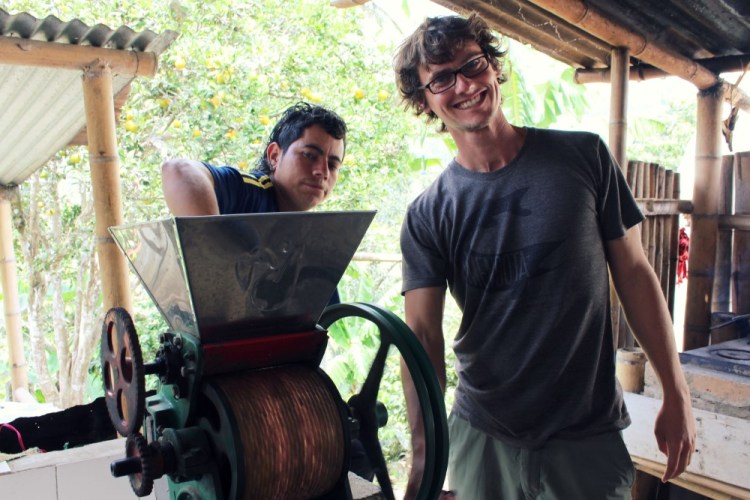 1498 Salento Colombia