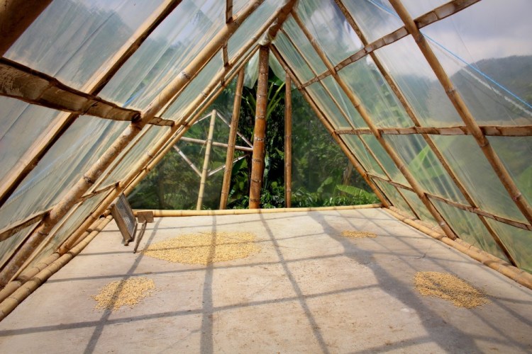 1499 Salento Colombia