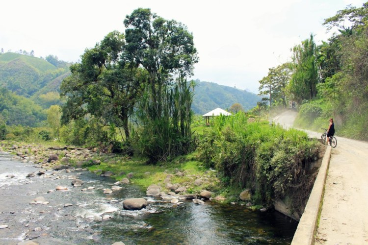 1503 Salento Colombia