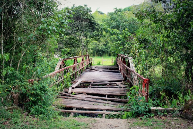 1504 Salento Colombia