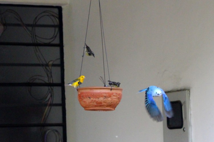 1558 Bucaramanga Colombia