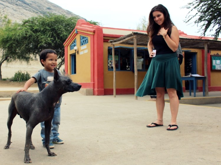 1651 Moche de la luna el sol Peru