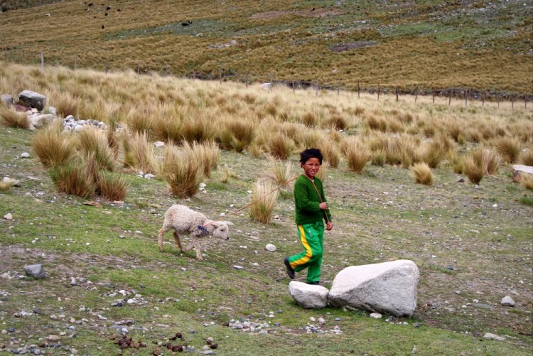 1699 Laguna Querococha Peru