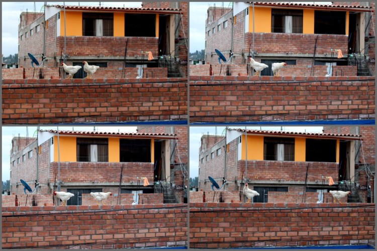 1717 Huaraz gripe Peru