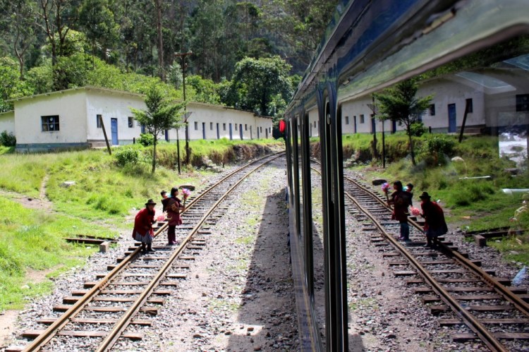 1757 Machu Picchu train Peru