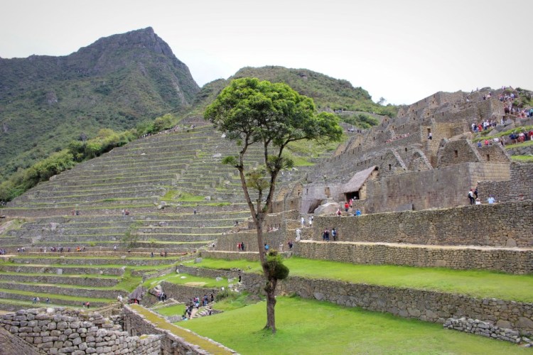 1774 Machu Picchu Peru