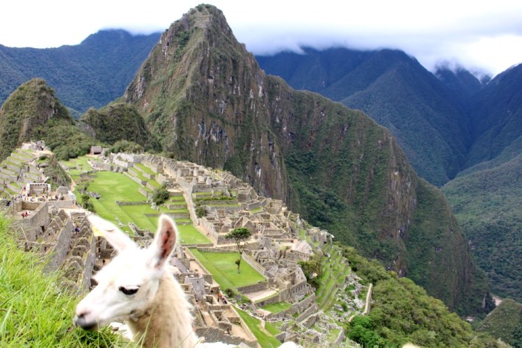 1782 Machu Picchu Peru