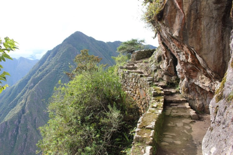 1784 Machu Picchu Peru