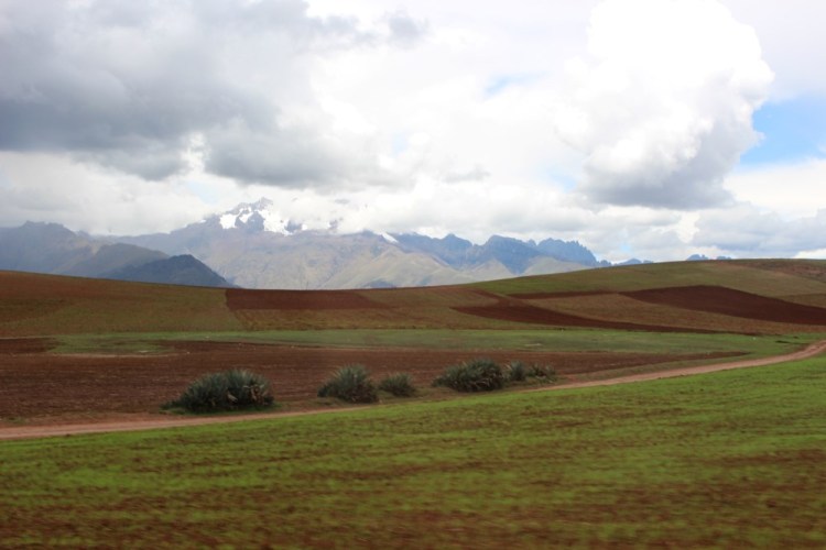 1805 Ollantaytambo Peru