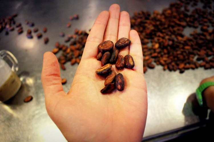 1988 Arequipa Chocolate class Chaqchao