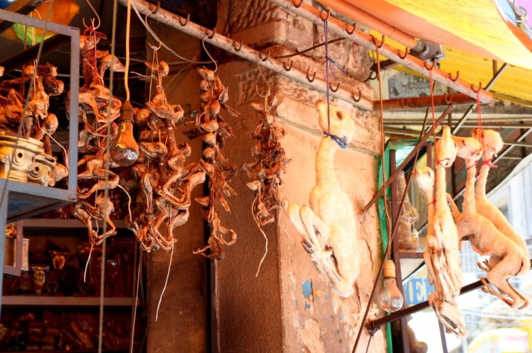 2074 La Paz Bolivia red cap tour