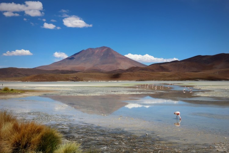 2165 Uyuni Salt Flats Bolivia Laguna Hedionda