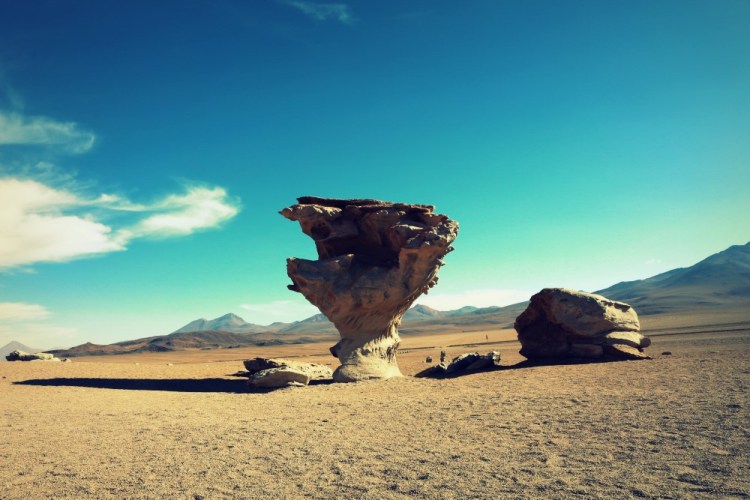 2173a Uyuni Salt Flats Bolivia Desierto de Siloli Arbol de Piedra