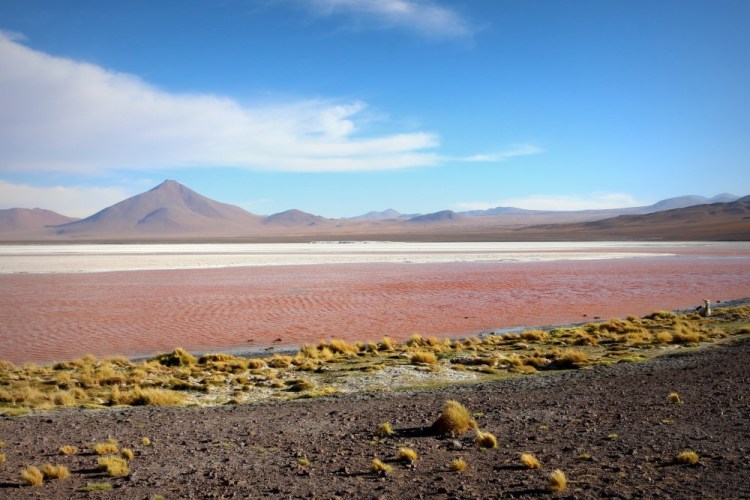 2174 Uyuni Salt Flats Bolivia Laguna Colorada