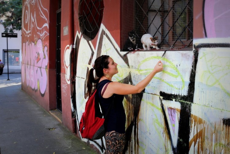 2246 Santiago Chile street kitties