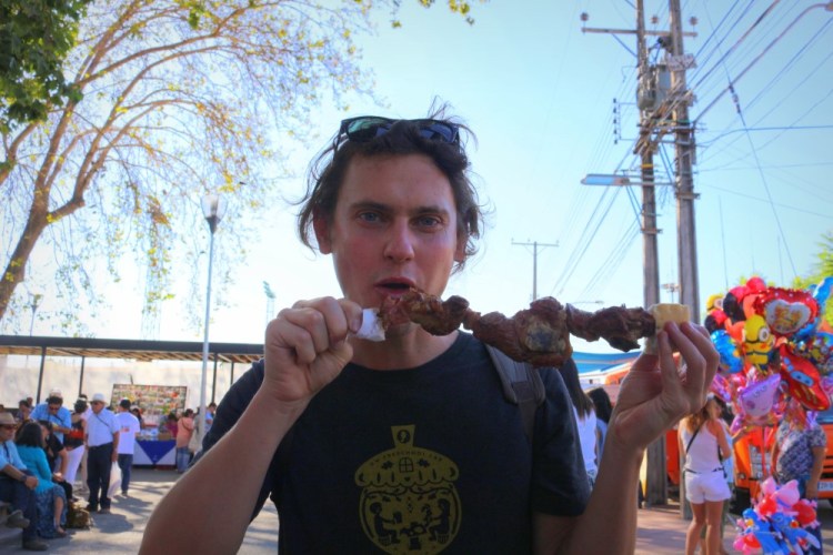 2261 Santiago Chile Vindimia Santa Cruz