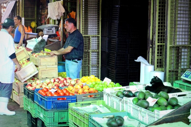 2321 Santiago Chile fruit market cat