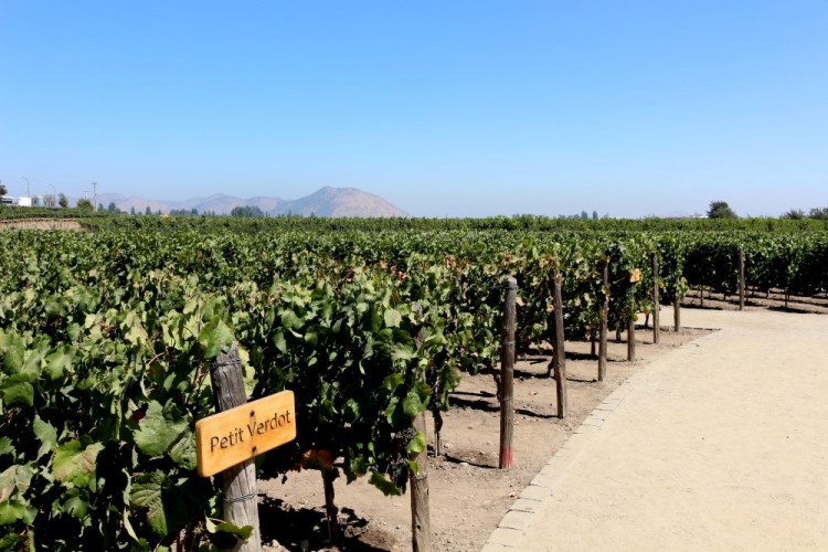 2344 Santiago Chile Concha y Toro