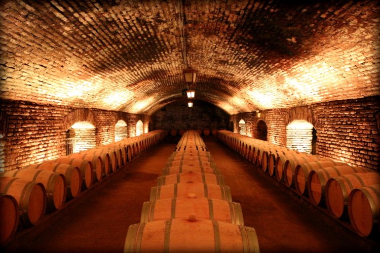 2347 Santiago Chile Concha y Toro