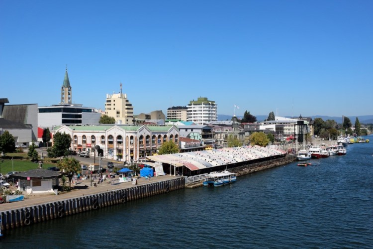 2390 Valdivia Chile feria fluvial fish market