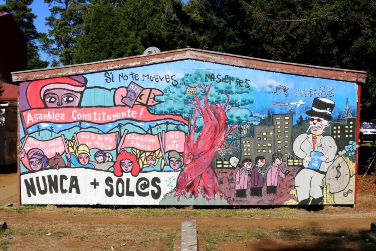 2392 Valdivia Chile botanical garden