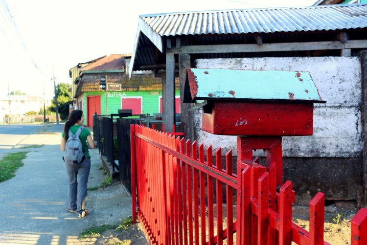 2395 Valdivia Chile botanical garden