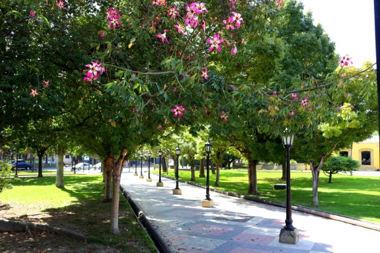 2417 Mendoza Argentina Old plaza