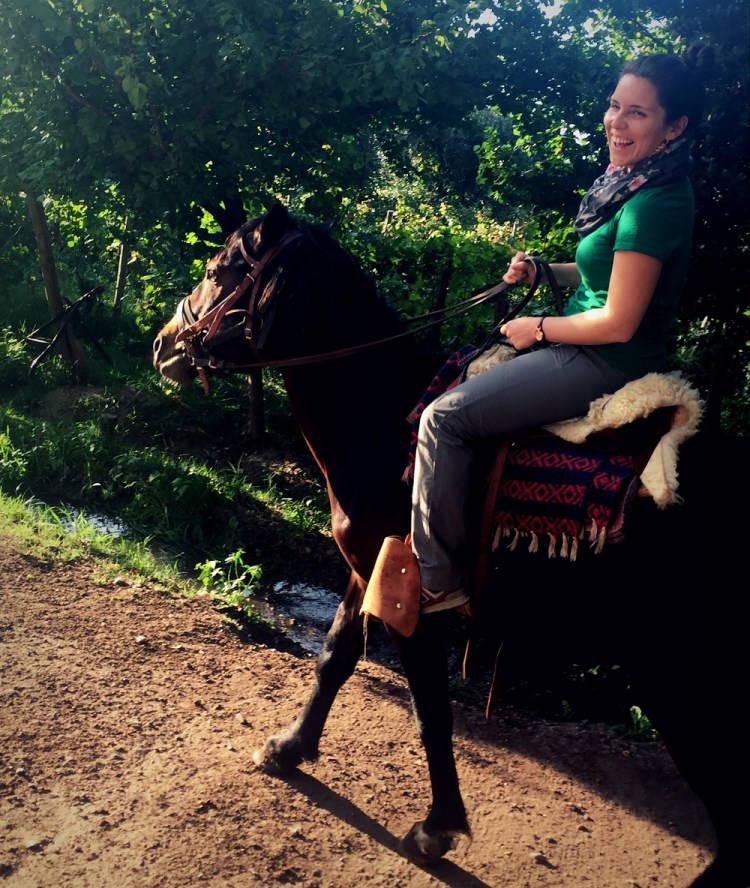 2426b Mendoza Argentina Cabalgatas