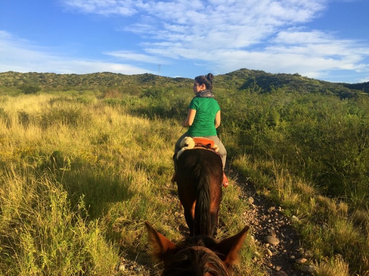 2426c Mendoza Argentina Cabalgatas