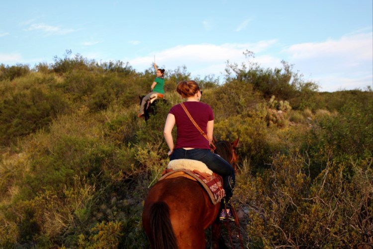 2428 Mendoza Argentina Cabalgatas