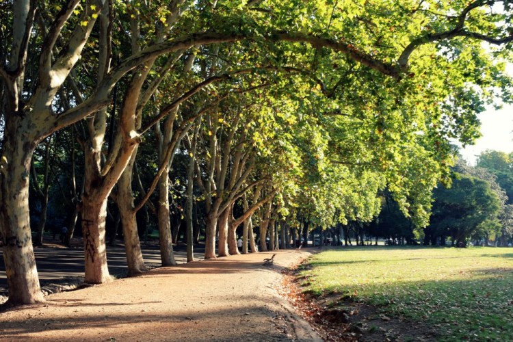 2432 Mendoza Argentina Parque San Martin