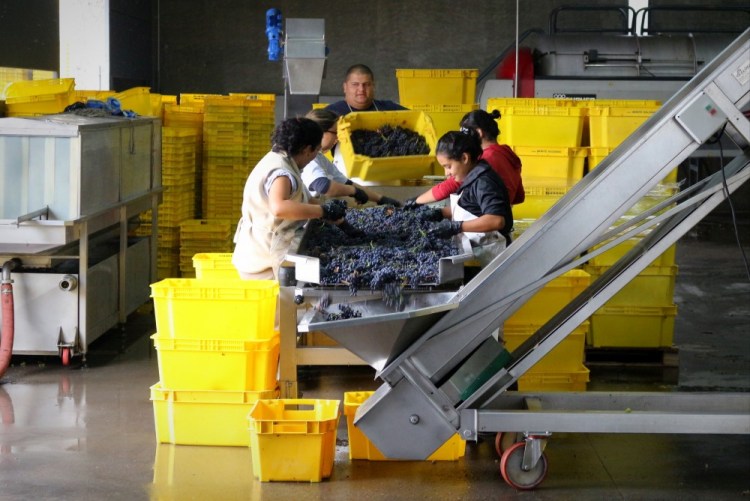 2459 Wine tour Ampora UCO Valley Atamisque