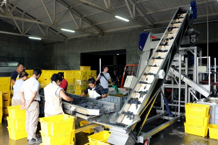 2460 Wine tour Ampora UCO Valley Atamisque