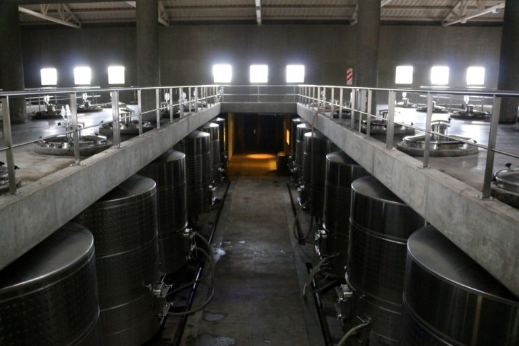 2462 Wine tour Ampora UCO Valley Atamisque