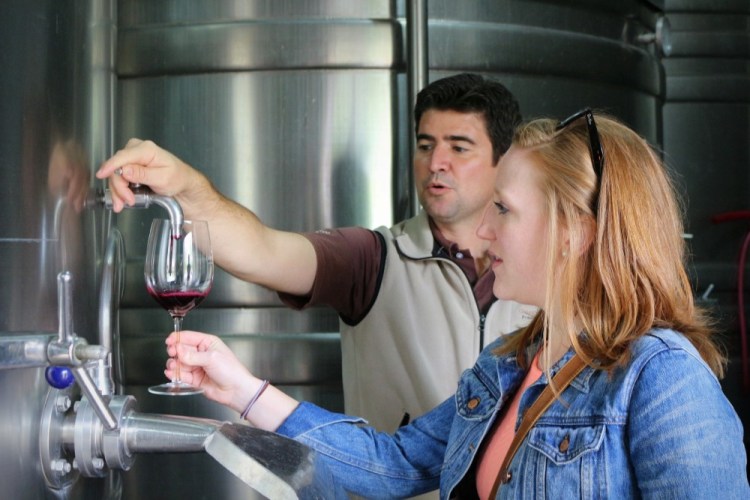 2473 Wine tour Ampora UCO Valley Gimenez y Riili