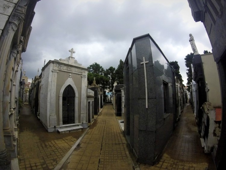 DCIM113GOPRO