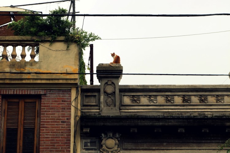 2542 Buenos Aires Argentina Palermo