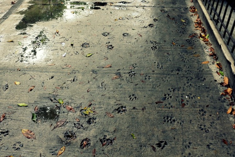 2551 Buenos Aires Argentina La Boca