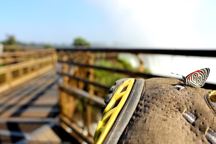 2564 Iguazu Falls Argentina garganta del diablo