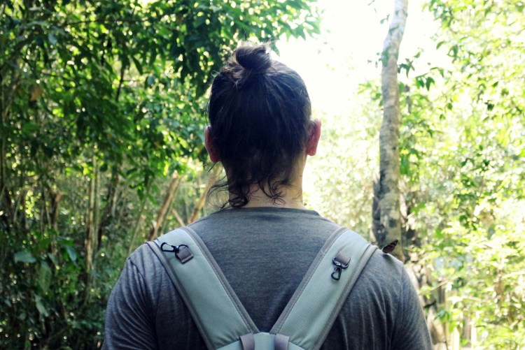 2575 Iguazu Falls Argentina butterfly clandestino