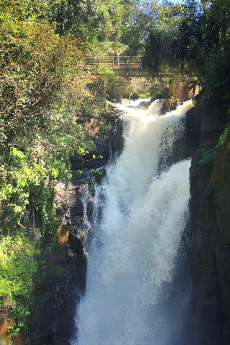 2576 Iguazu Falls Argentina lower trail