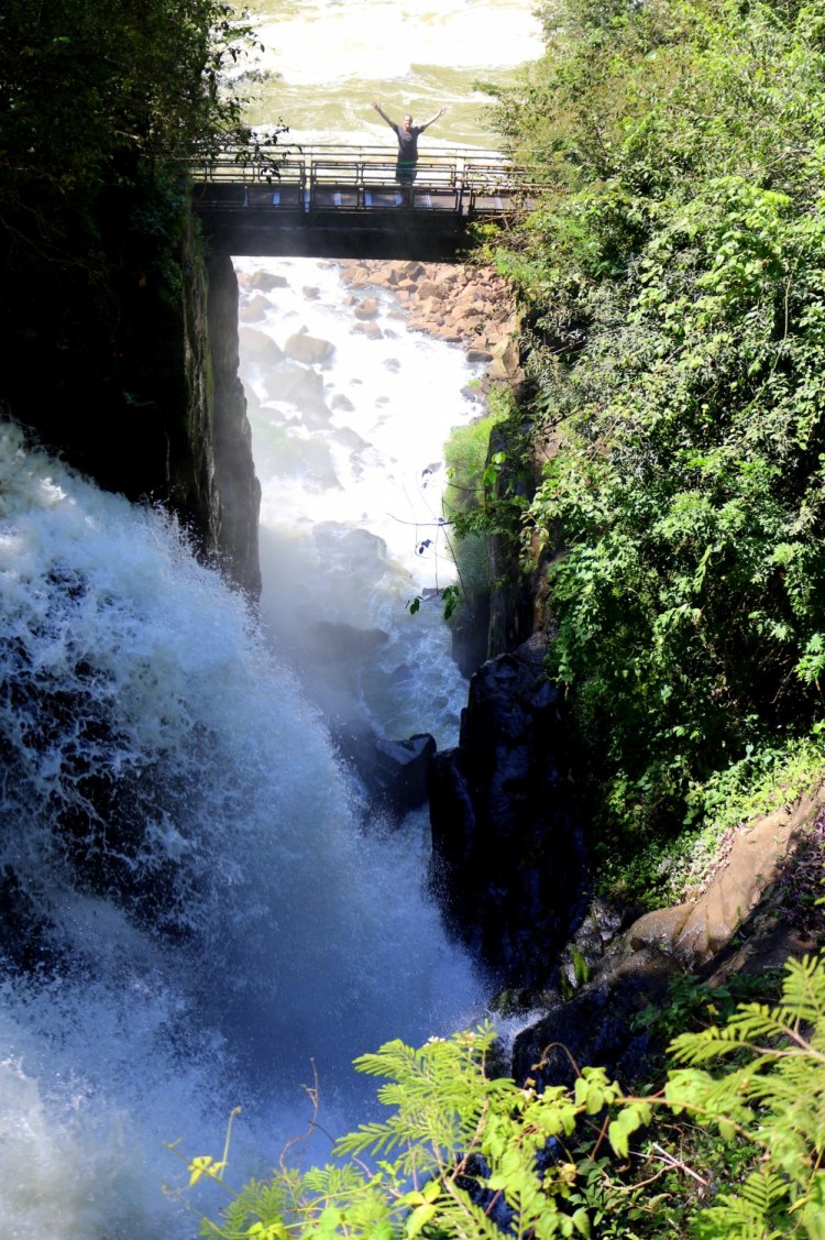 2577 Iguazu Falls Argentina lower trail