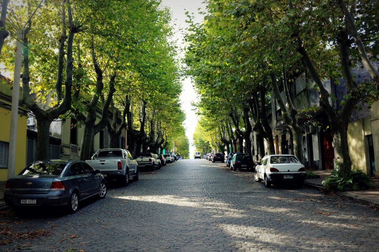 2644 Colonia Uruguay