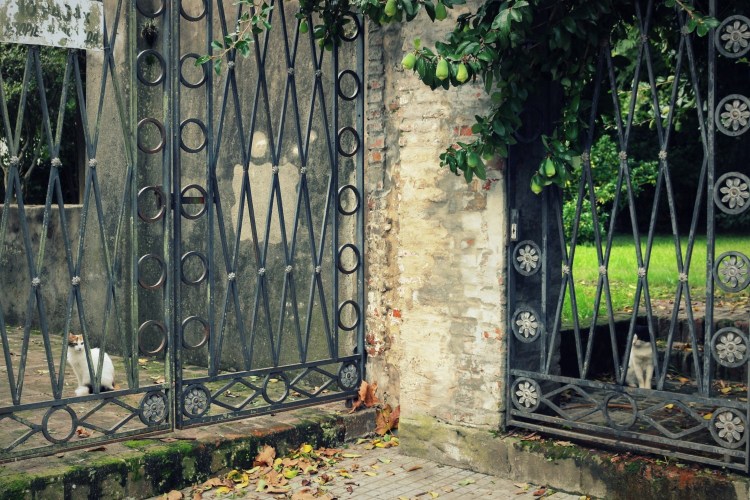 2648 Colonia Uruguay