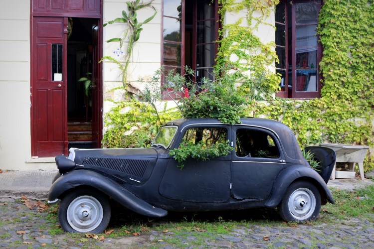 2649 Colonia Uruguay