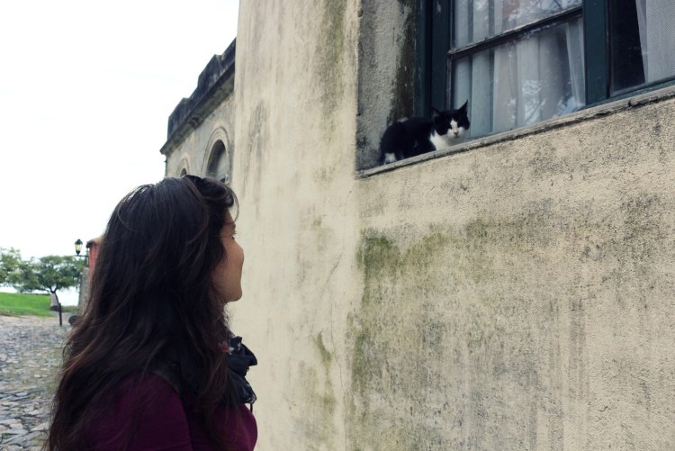 2654 Colonia Uruguay